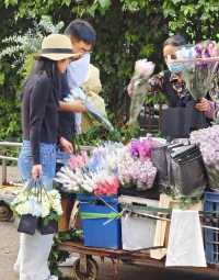 斗南是個「販賣浪漫」的地方