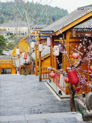 熱市雲頂溫泉‖到底能不能讓我玩一天？