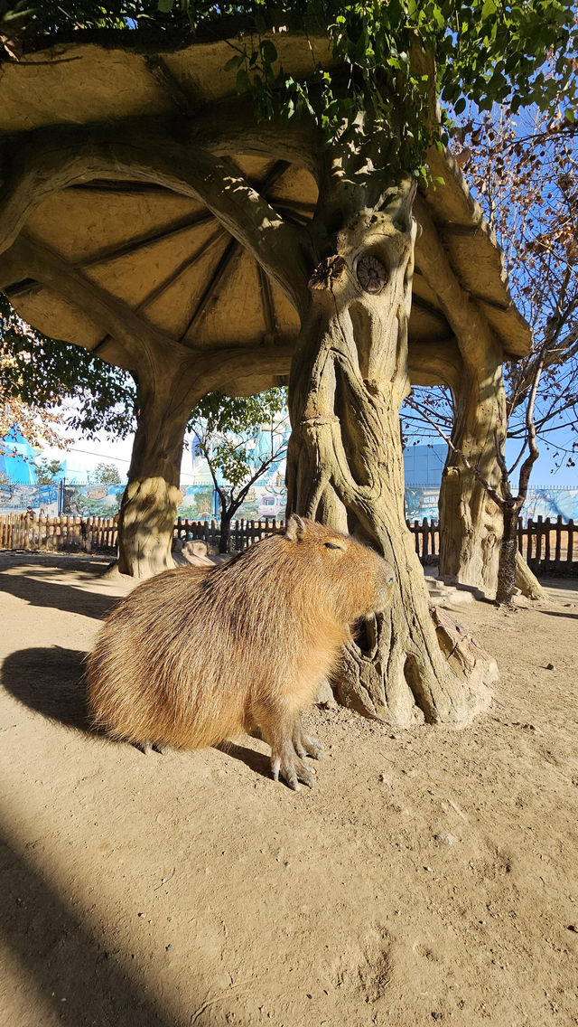 南通動物園