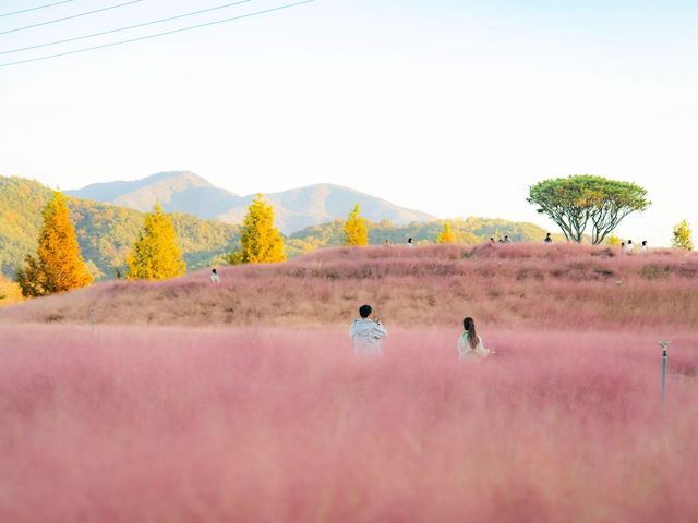 旅遊攻略篇