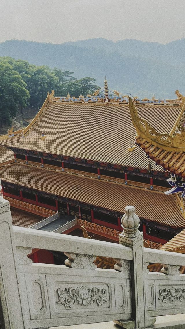 《大嶺山觀音寺：一次令人失望的出行體驗》