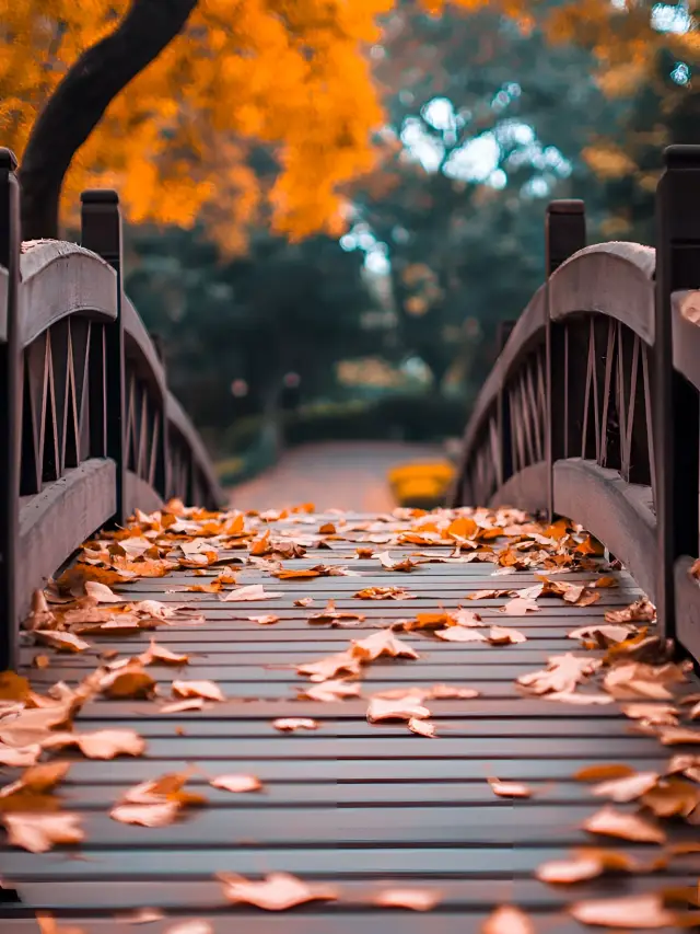 5-Day Winter Break in Enshi: Stress-Free Travel Guide