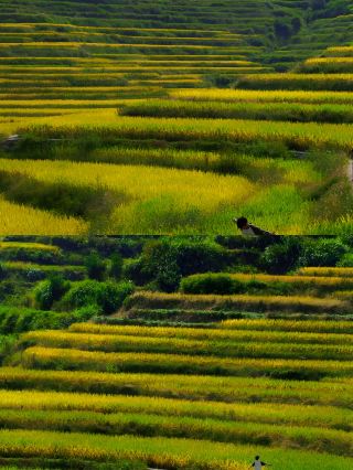 Explore Qichun, Hubei: A Hidden Gem