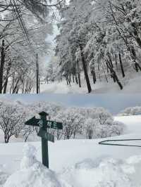 姊妹們來平昌郡喜歡看雪的必備攻略