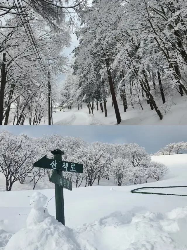 姊妹們來平昌郡喜歡看雪的必備攻略