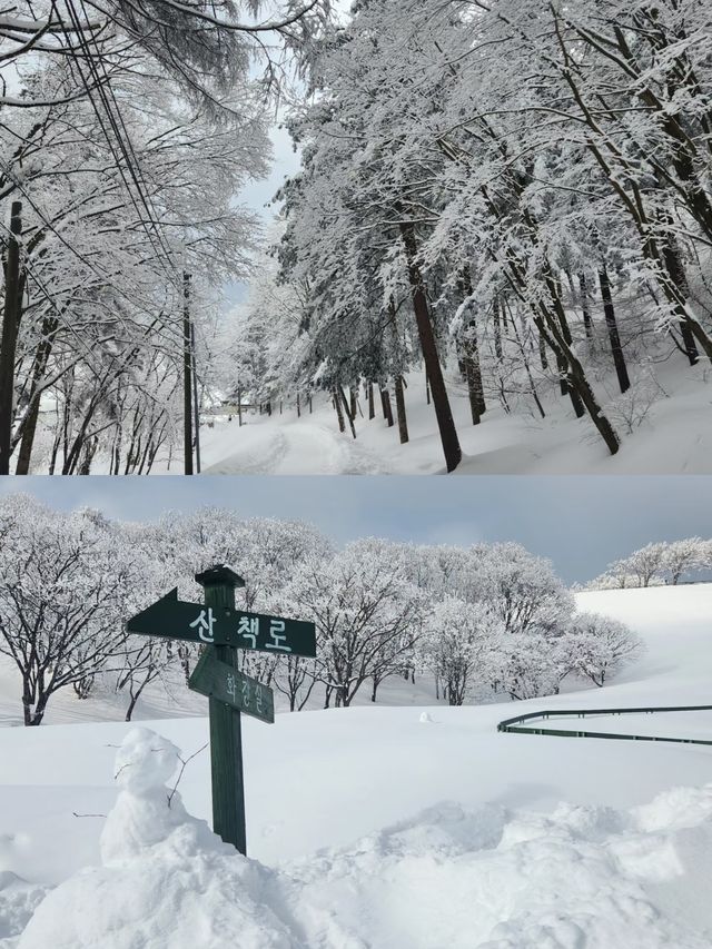 姊妹們來平昌郡喜歡看雪的必備攻略