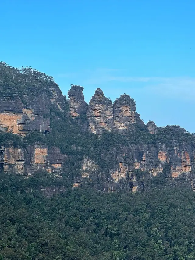 호주 8일 여행 전국을 다양하게 즐기기