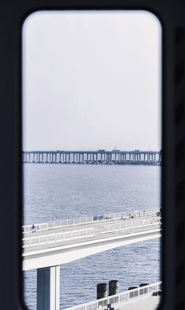深圳旅遊攻略之十一號線海上地鐵