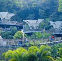 打卡廣州雲蘿植物園