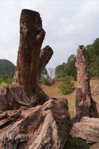 普洱那柯里 | 不只古鎮，還有山、溪流和曠野