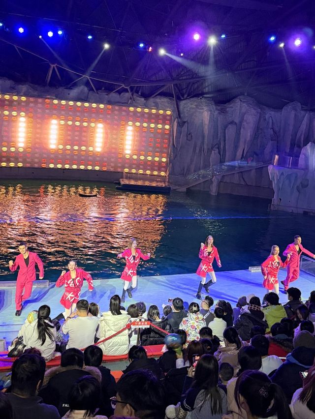 哈爾濱旅遊，極地公園讓我大開眼界！
