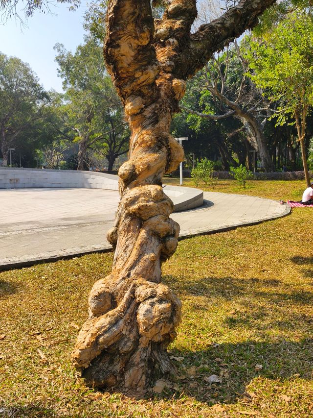 廣西北海市的中山公園