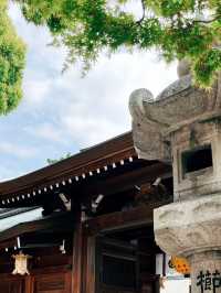 福岡櫛田神社景點攻略感受神秘的氛圍 🌲