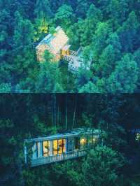黃山旅遊打卡黃山森林中的童話精靈樹屋