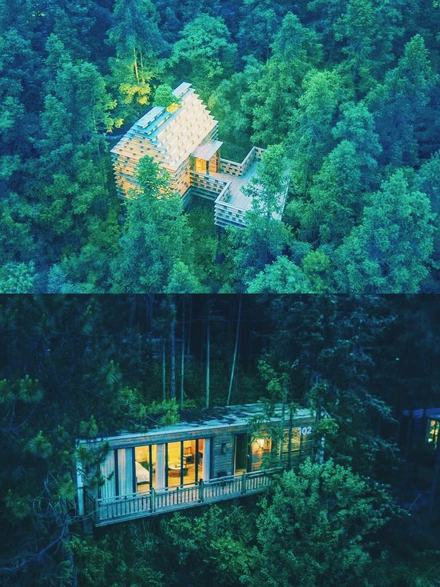 黃山旅遊打卡黃山森林中的童話精靈樹屋