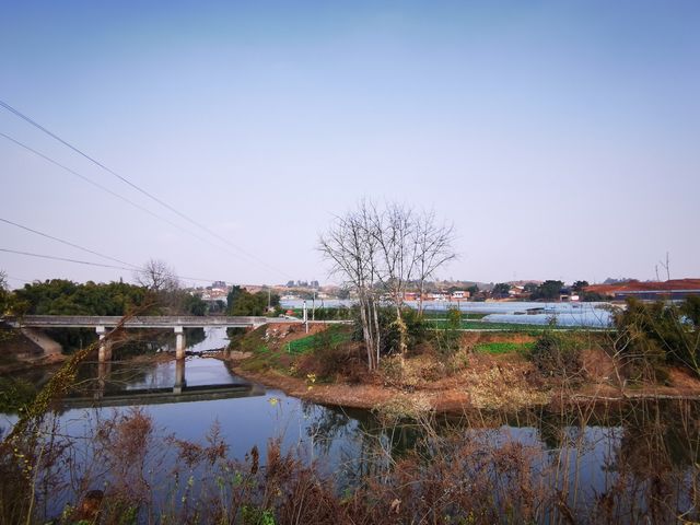 "行走鄉間•發現自貢"之榮縣鼎新