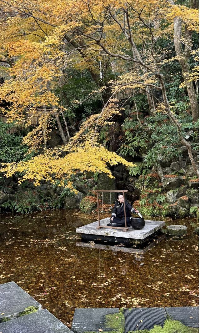 12月 京都 巔峰體驗