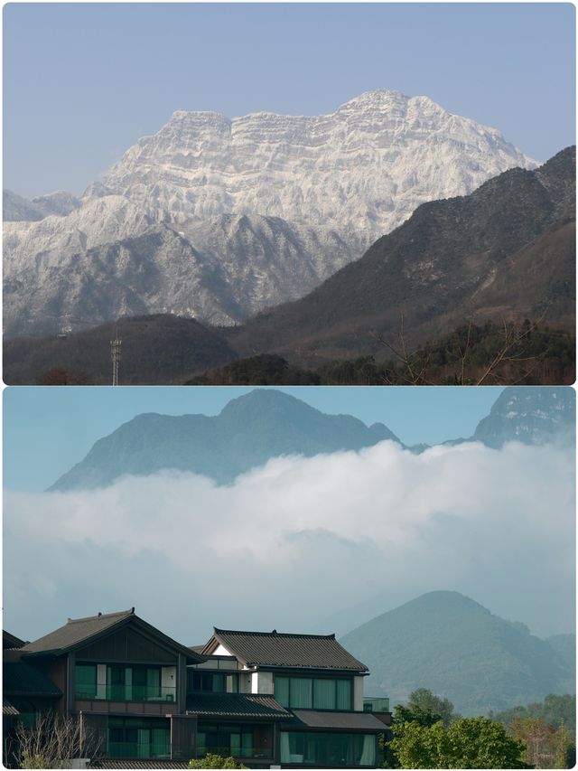 公司在這裡團建，而我只想退休
