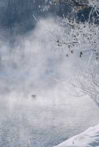 《水磨溝公園：烏魯木齊的山水之旅，帶你找回心中的寧靜》