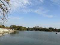 揭陽西湖公園