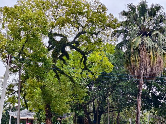 縣城裏的中山公園