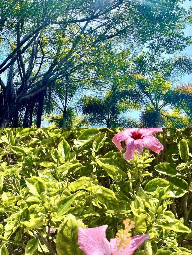 玉林園博園，一場視覺與自然的盛宴