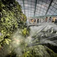 Cloud Forest is a MUST SEE!