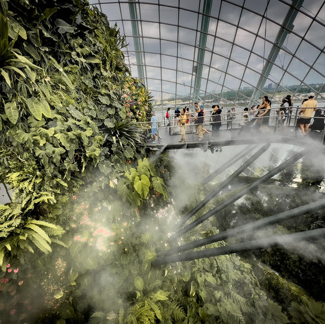 Cloud Forest is a MUST SEE!
