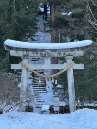 Takayama: More Than Just a Stopover🏮