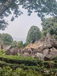 湖北武漢-神農架熊貓基地超詳細遊玩秘笈速覽