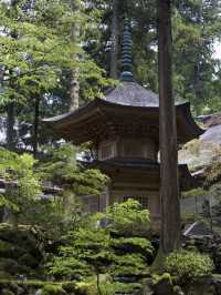 福井小眾景點推薦，感受別樣旅行
