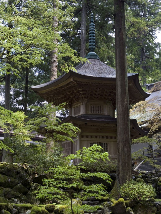 福井小眾景點推薦，感受別樣旅行