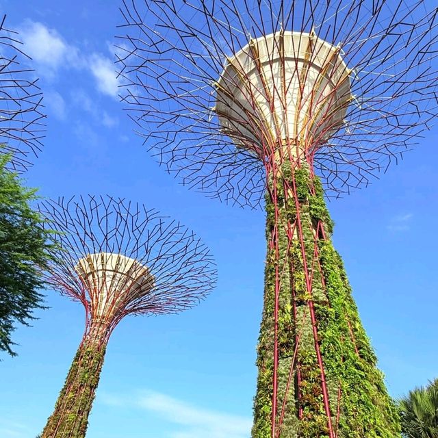 在新加坡，掉進巨型空中花園