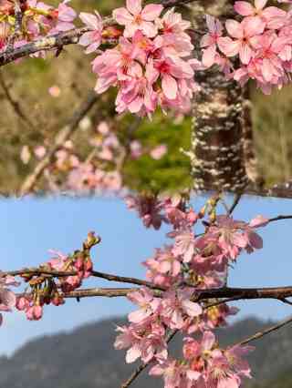 2025 Meizhou Attraction] Travel Guide for Yinna Mountain