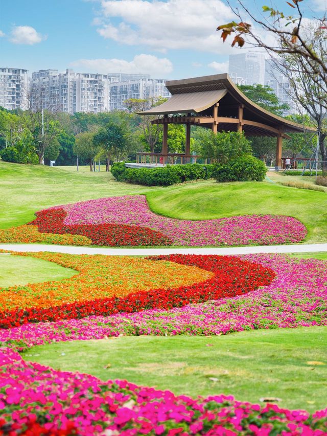 深圳2日遊 冬日暖陽裏的寫意之旅