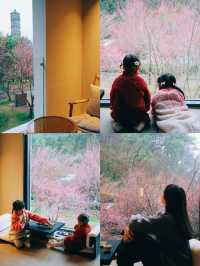 住進桃花源！臨海這家民宿美得令人窒息！