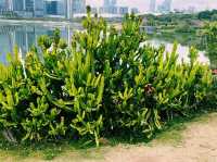 深圳南山區著名公園景點：深圳人才公園，適合拍照打卡、親子遊戲、觀光旅遊。 