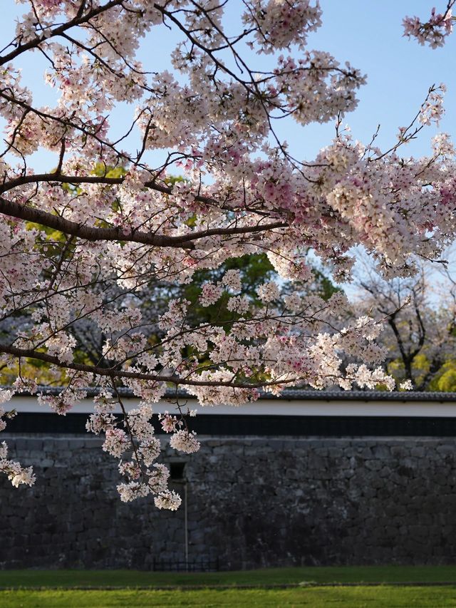 日本5日遊 真溫泉體驗等你來