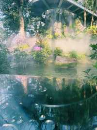 上海溫室花園🪴