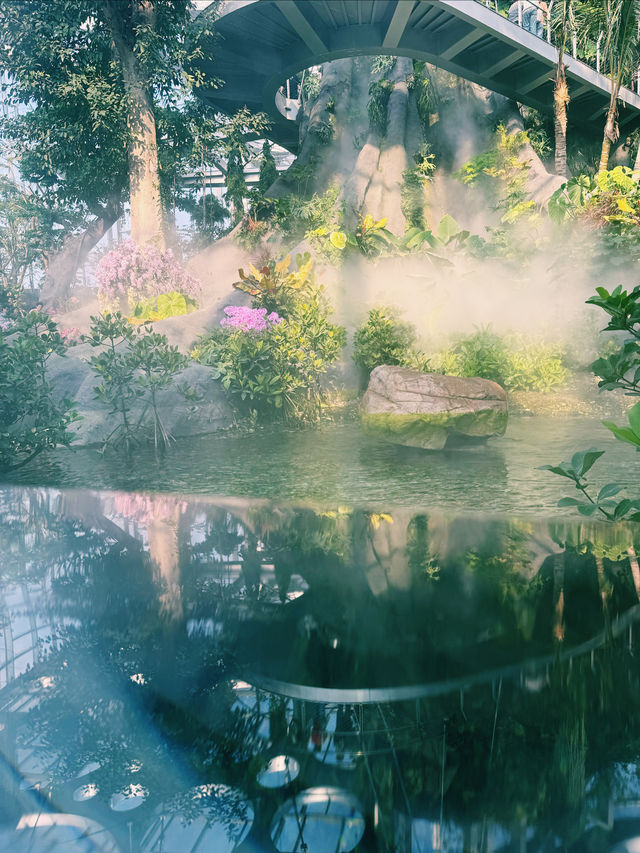 上海溫室花園🪴