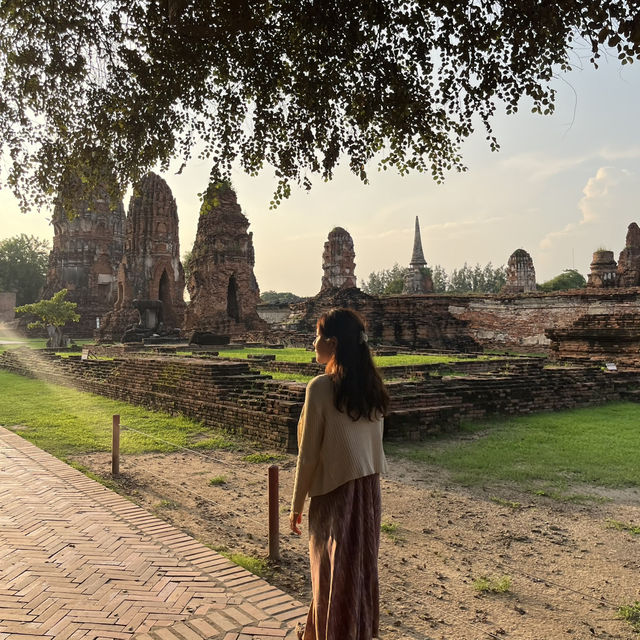 목이 잘린 불상머리가 있는 사원🇹🇭