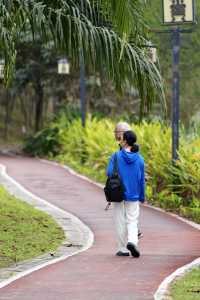 瓊中濕地公園——自然與詩意的邂逅