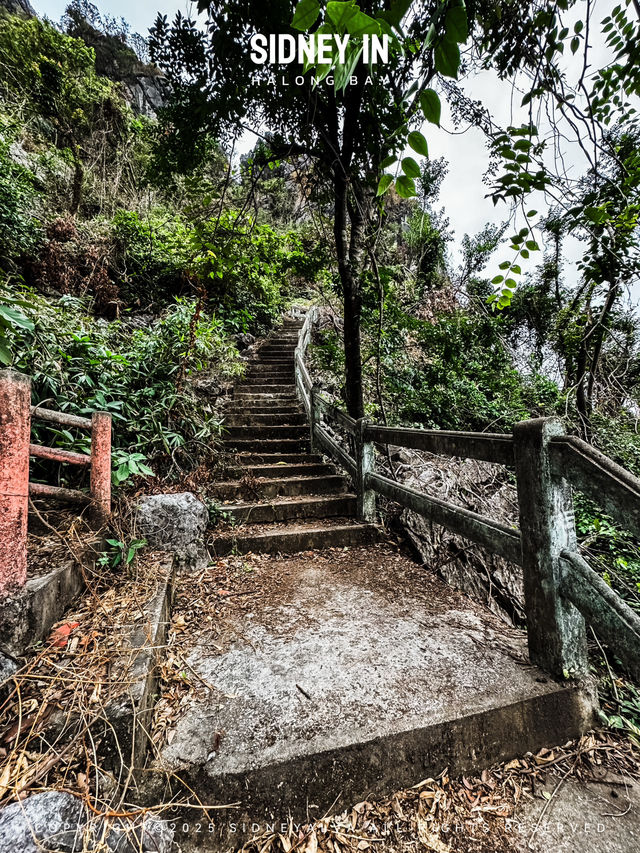 🇻🇳下龍灣顫抖登頂❗️人生封面在此🏞