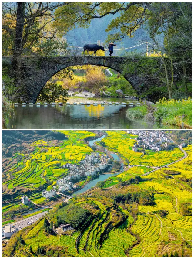 Back from Wuyuan with the kids, here's the honest truth! I came to this city because of a song.