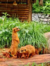 野生動物會咬人？NO！是會萌的沒邊