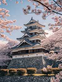 赴廣島之約，共賞四日櫻花爛漫