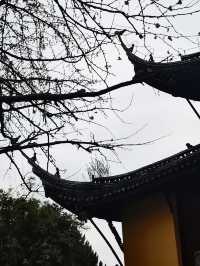 常州超絕二日遊，帶你解鎖寶藏景點