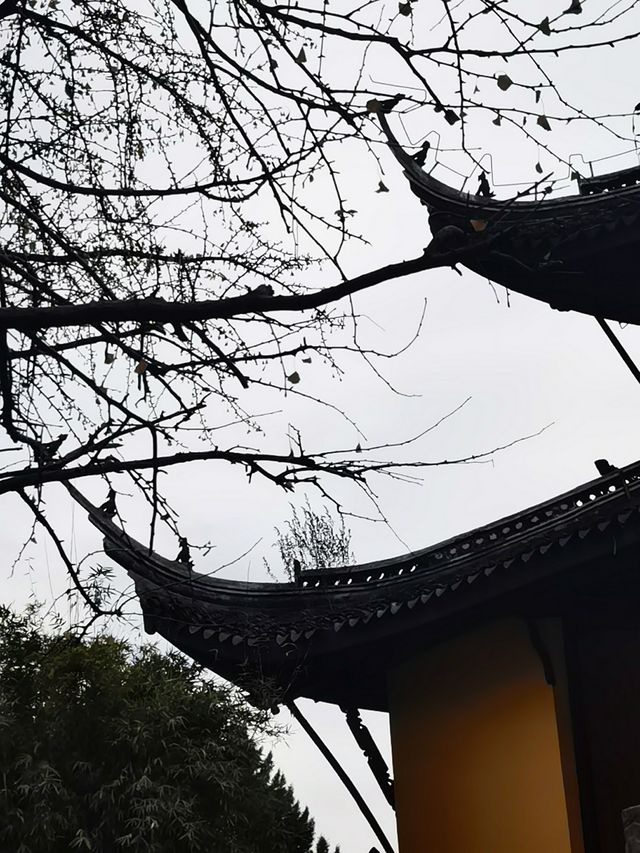 常州超絕二日遊，帶你解鎖寶藏景點