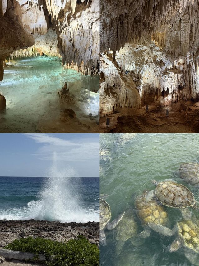 解鎖大開曼島,邂逅北緯 19° 的夢幻海島