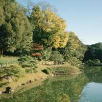 清澄庭園｜在日本最愜意的一個下午🌳